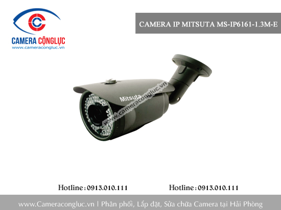 Camera IP Mitsuta MS-IP6161-1.3M-E