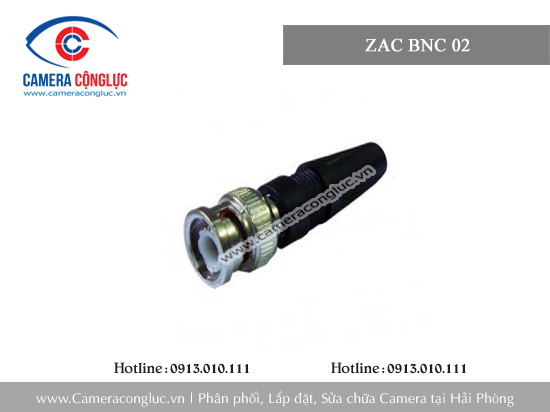 ZAC BNC 02