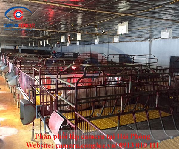 Lắp đặt camera quan s&aacute;t tại Th&aacute;i Thụy Th&aacute;i B&igrave;nh, lap dat camera quan sat tai thai thuy thai binh 
