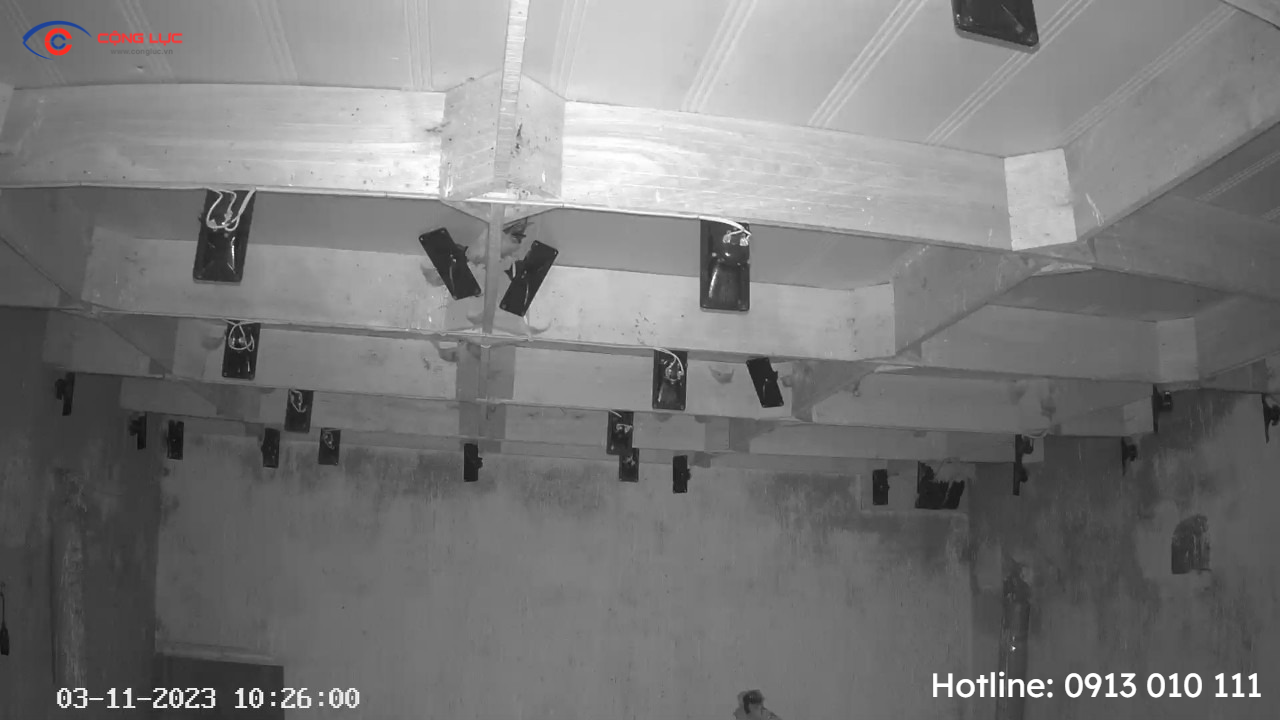 lắp camera wifi ezviz c6n 2mp ở nhà nuôi chim yến 2