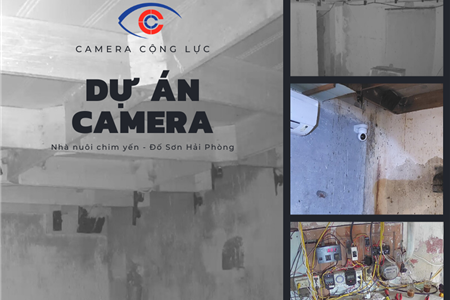 Lắp Camera Wifi Cho Nhà Nuôi Yến Tại Đồ Sơn Hải Phòng