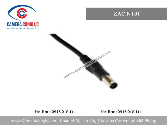 ZAC NT01